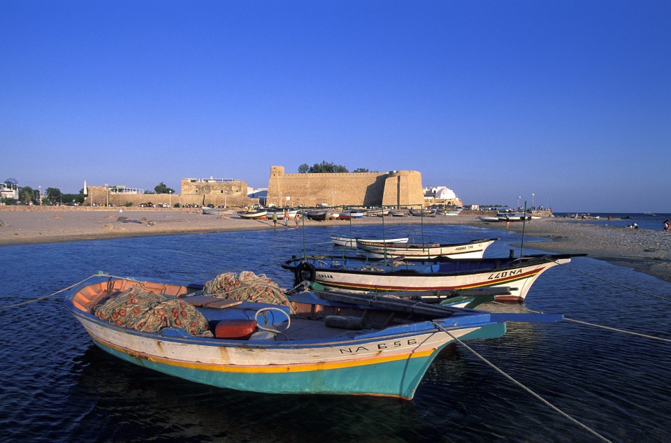  Tunisia has been named one of the holiday destinations that people get sick the most, with Hammamet pictured (stock)