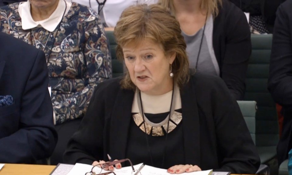  New child sex abuse inquiry chair Prof Alexis Jay has faced demands to resign following accusations she is not qualified for the position