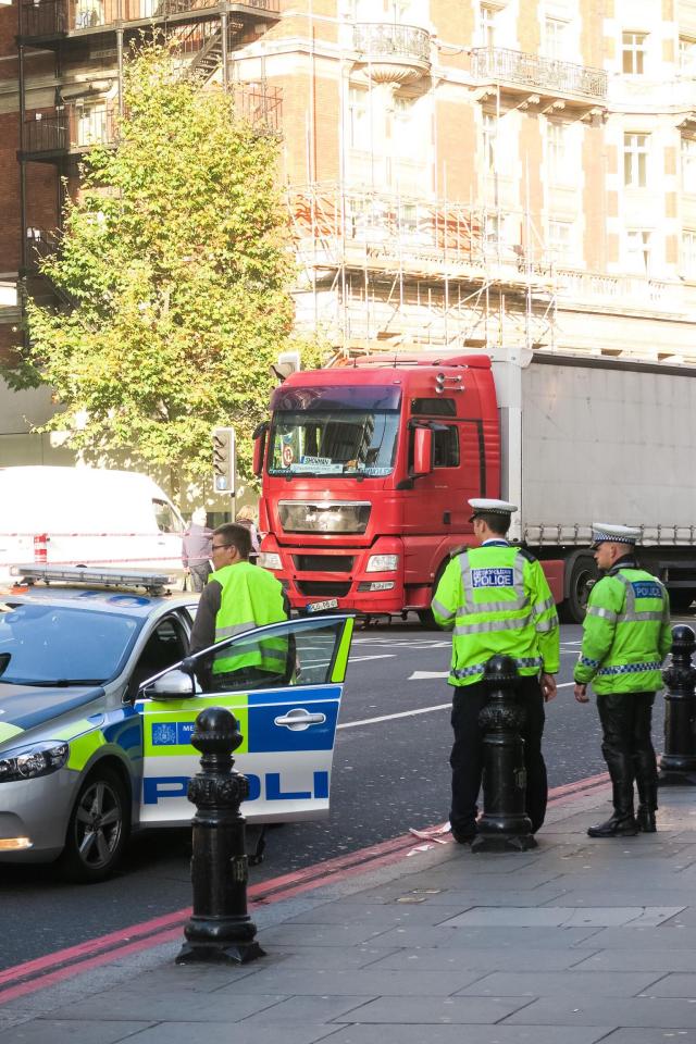  The prince was pronounced dead just half an hour after he was struck by the HGV outside posh department store Harvey Nichols at 12.40pm on Monday