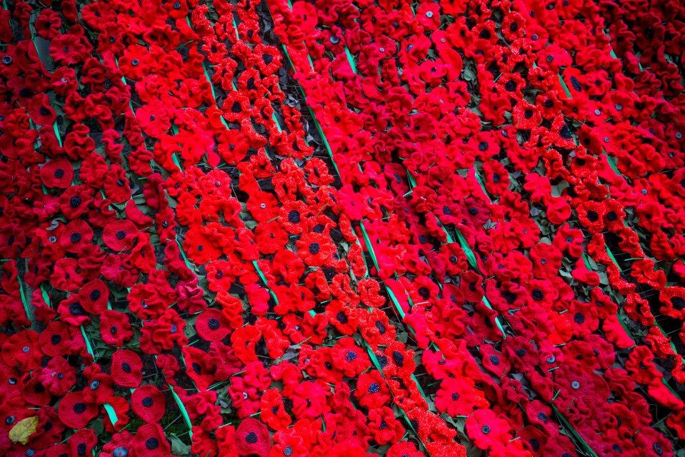 The curtain of red was unveiled at the weekend to commemorate Britain's fallen servicemen and women