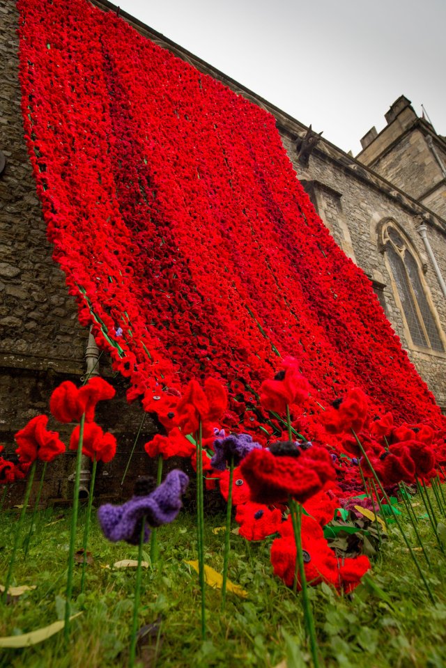 The stunning display was designed by the Royal British Legion's poppy appeal organiser Lesley Fudge