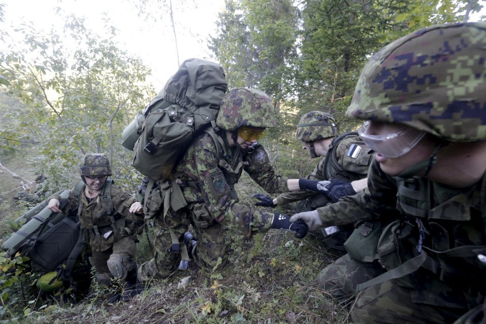 Estonia's Defence League volunteer soldiers attend training drill near Rabasaare, Estonia