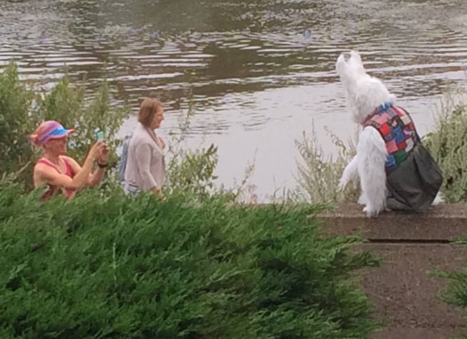  People often want to take pictures with the rabbit, as they have told Spike people don't believe them when they say what they saw