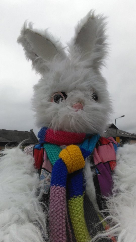  It was a mystery to people who would see the giant white rabbit making peace signs at people