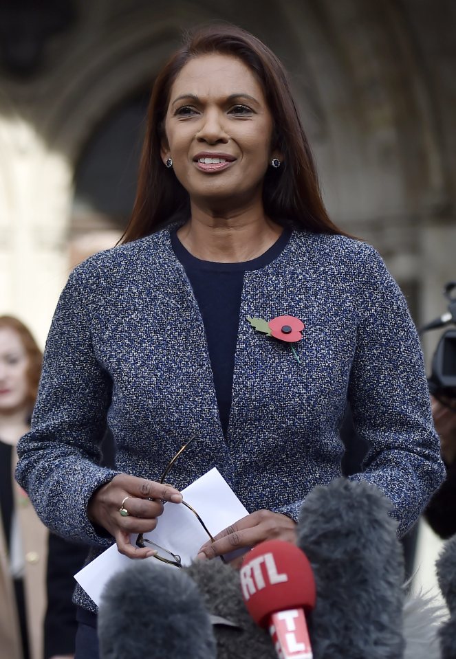 Gina Miller spoke outside the High Court after the ruling in her landmark lawsuit