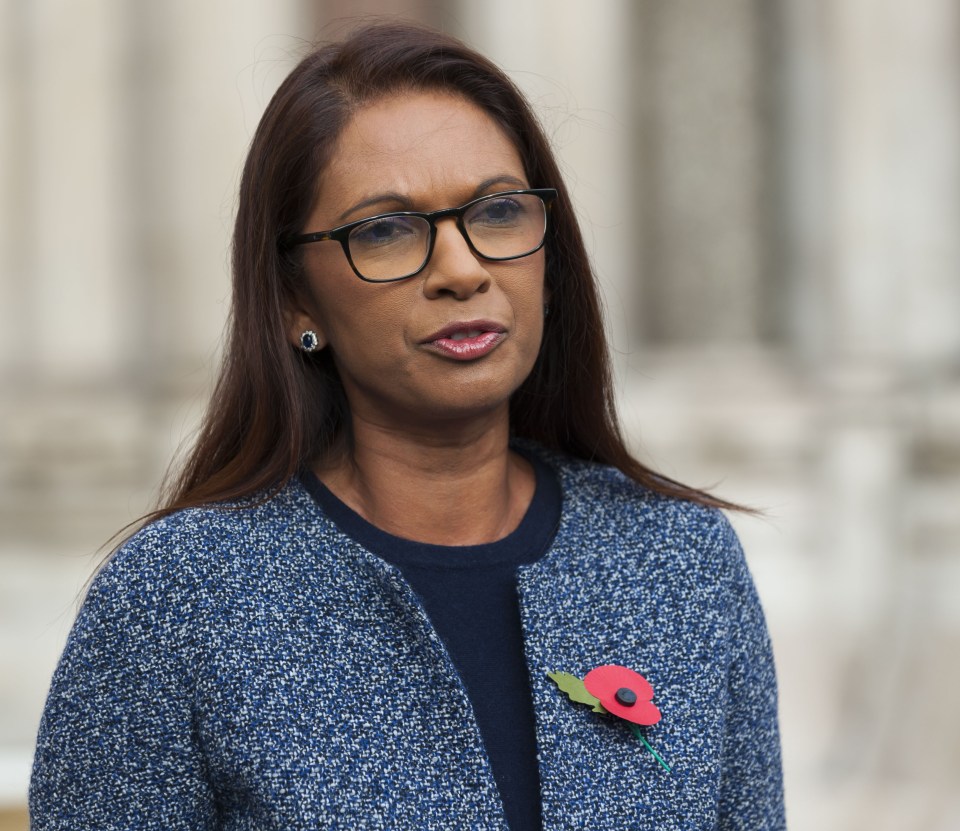 Gina Miller outside High Court after Brexit article 50 verdict