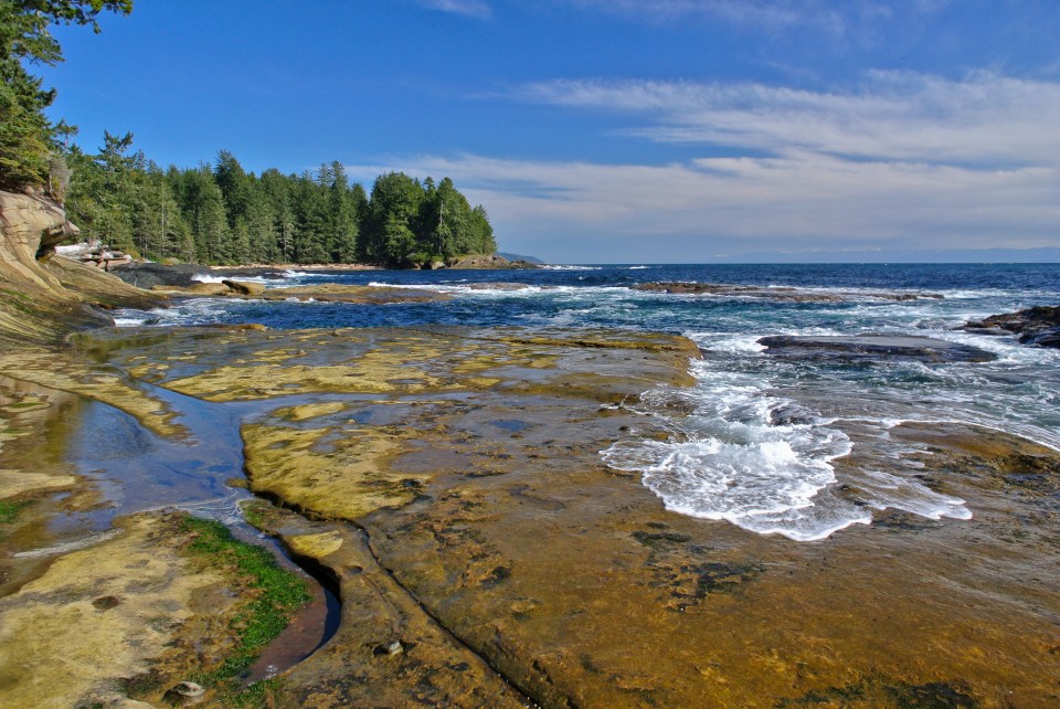 Botanical Beach