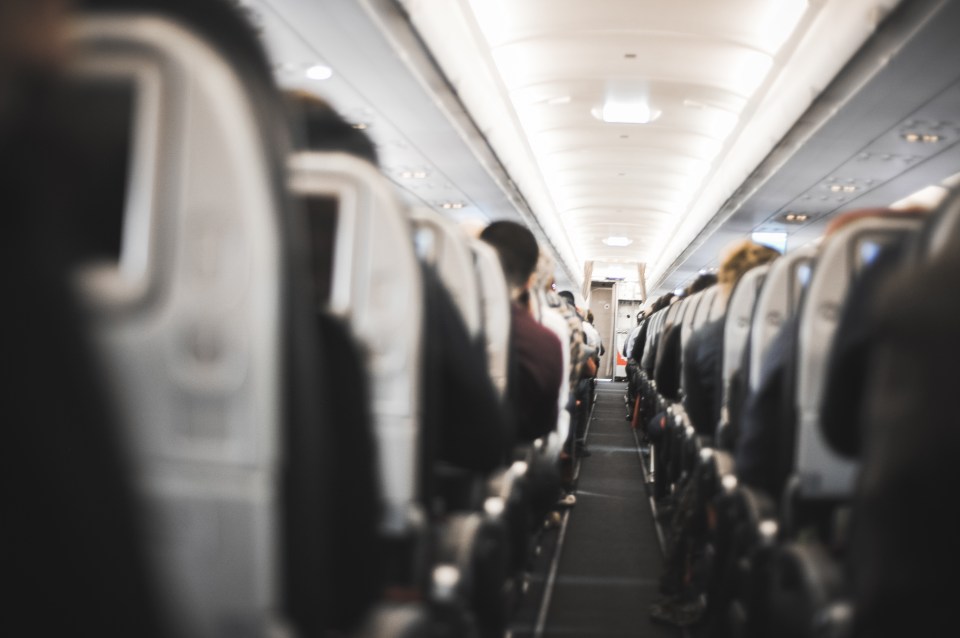 People sitting in the airplane