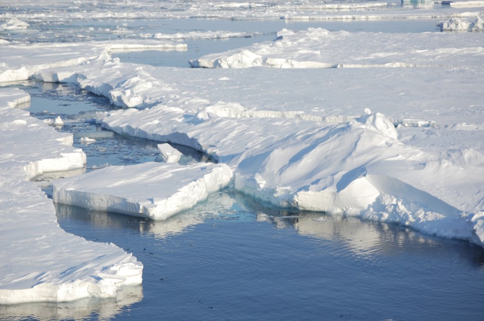  The President-elect has described global warming as a "hoax" in the past