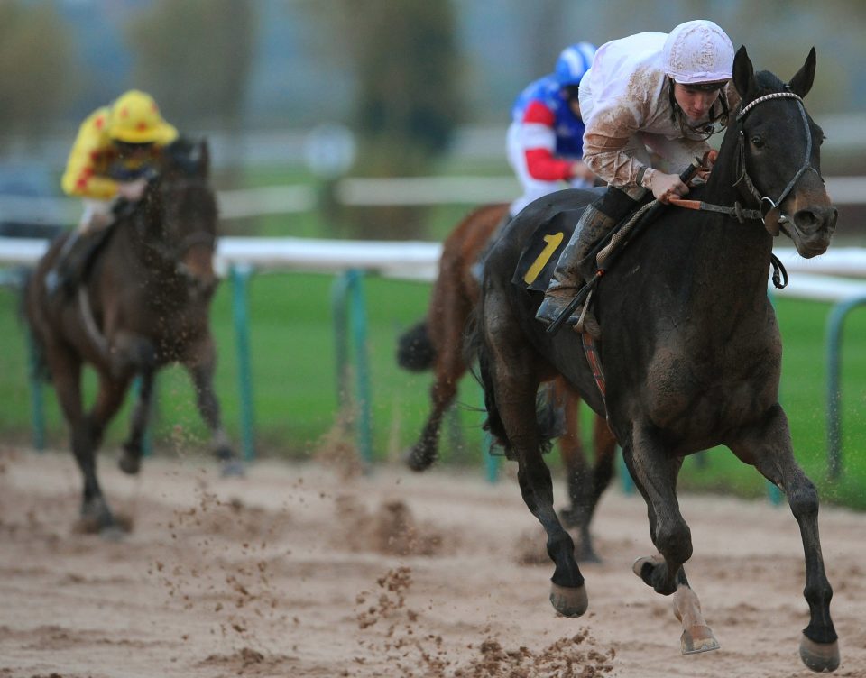 Tylicki started out as Flat jockey