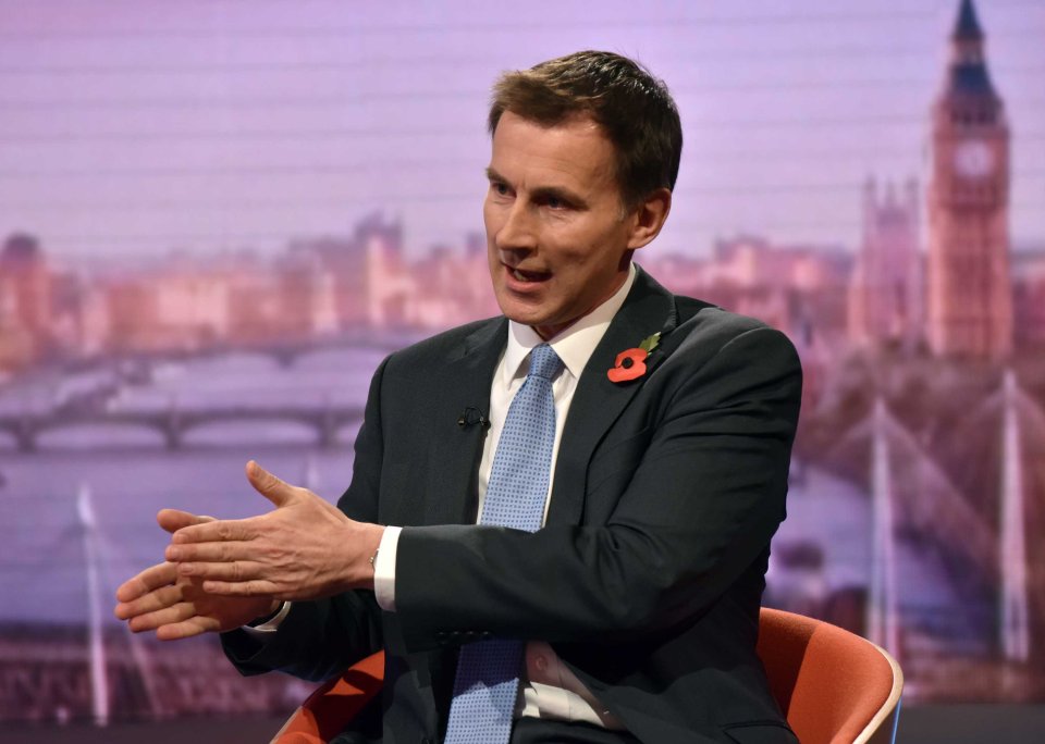  Jeremy Hunt says MPs won't block Brexit after the shock legal decision