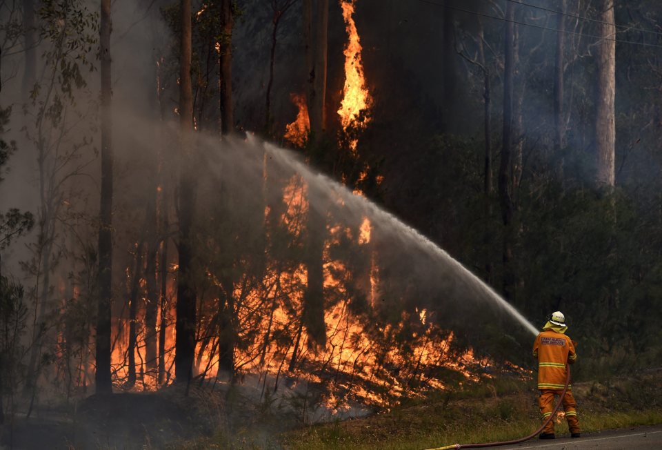 There are worse fires raging in the southern part of New South Wales