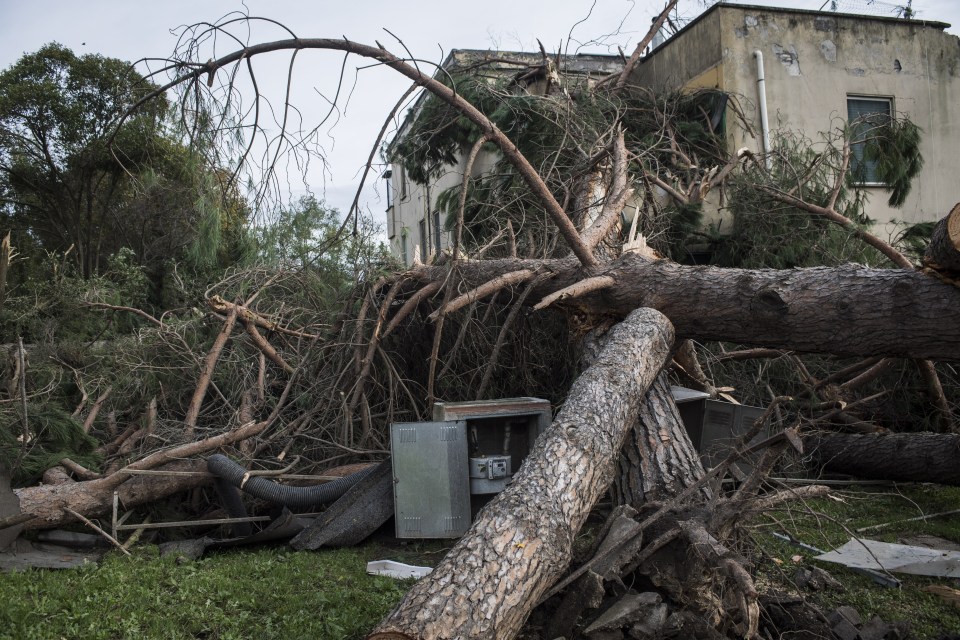  A tree lies strewn across a property just outside of the capital Rome