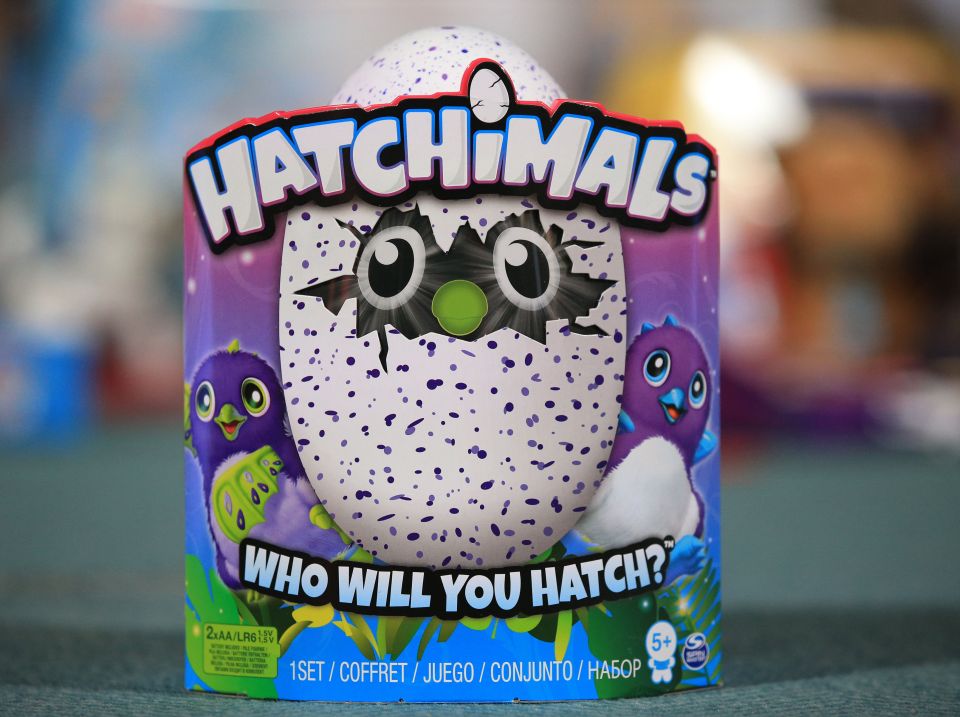  The popular Christmas toy will hatch from an egg once it has been incubated by the lucky owner