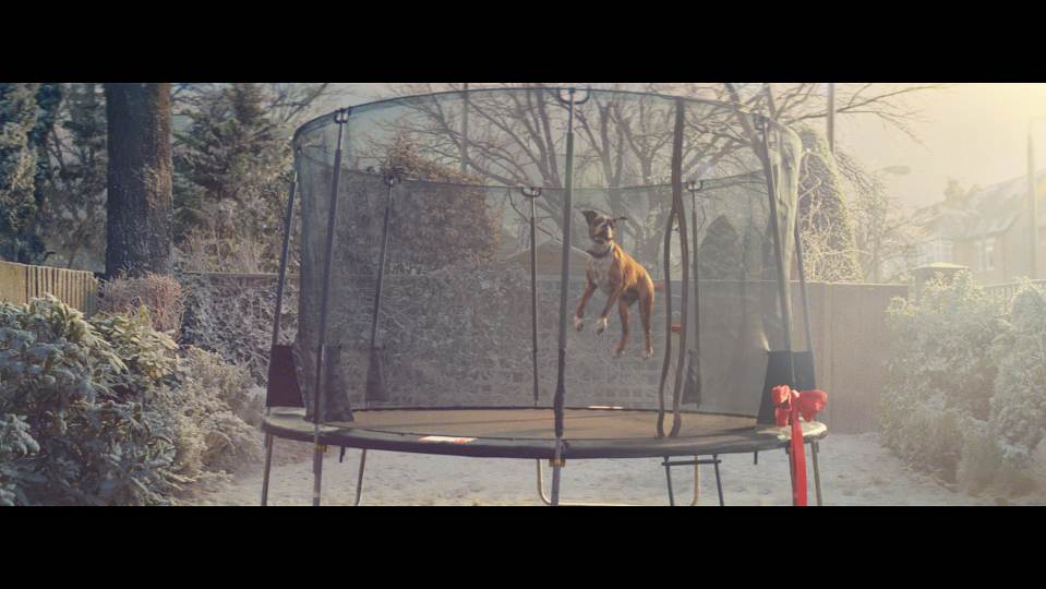 In the John Lewis advert, Buster the boxer jumps on the trampoline while a child watches on