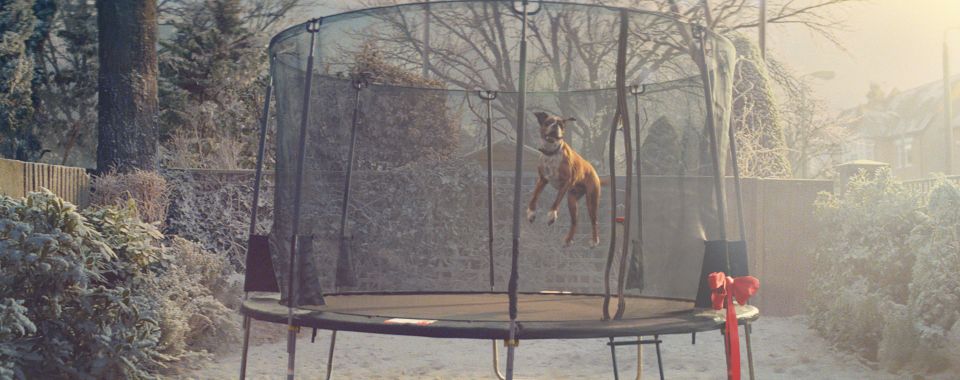 When it comes time to gift the trampoline to the young girl in the advert, Buster is the first to leap on it