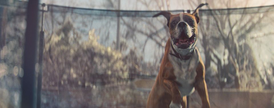 Biff's character, Buster, cannot wait to jump on the new trampoline