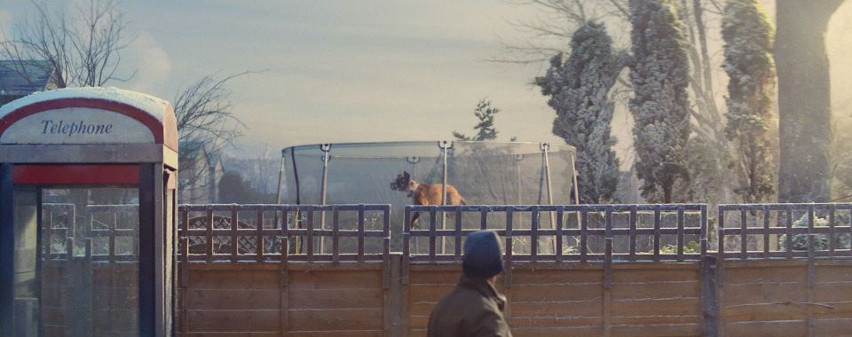 The neighbours in the advert were clearly just as shocked to see the bouncing boxer on Christmas morning