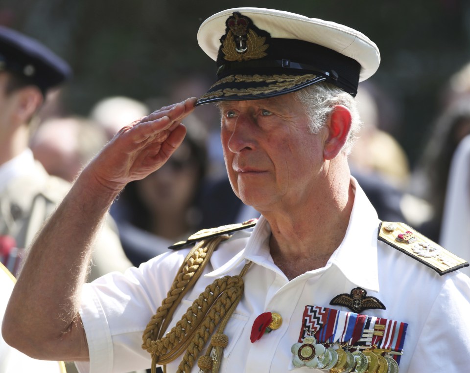  Prince Charles salutes at ceremony in Bahrain