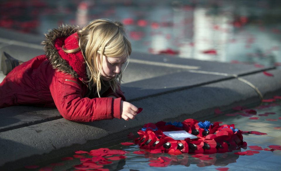  A young child plays with poppies in the fountains of Trafalgar Square, after the commemorations to mark Armistice Day