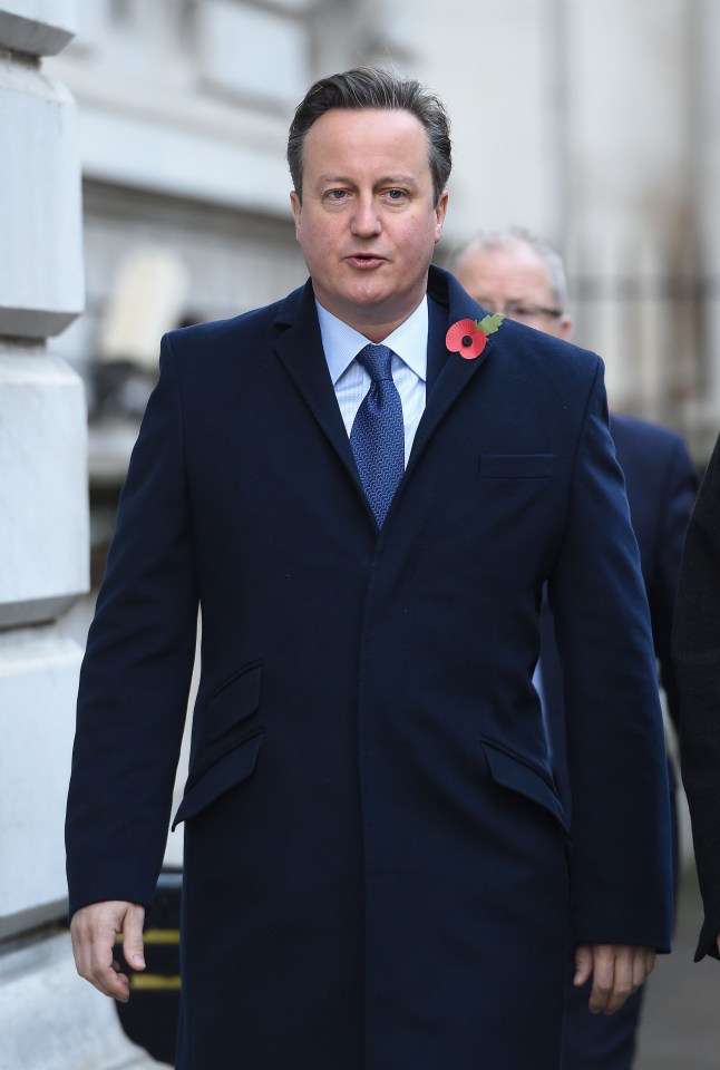  David Cameron pledged £300million for dementia research last year, but we must do even more