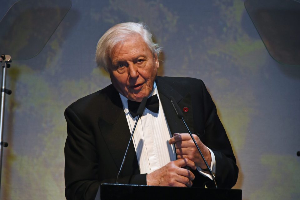  David Attenborough has been a target of vile abuse