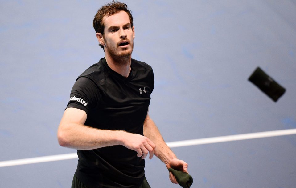  Andy Murray won Wimbledon for the second time this year