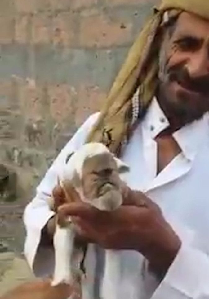 A Middle Eastern man shows off the one-eyed goat in front of camera