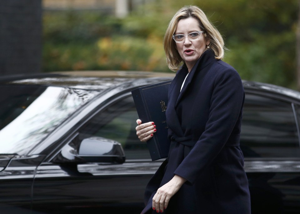  Home Secretary Amber Rudd emphasised the inquiry had a 'vital' role to play in exposing failings in child sex abuse prevention