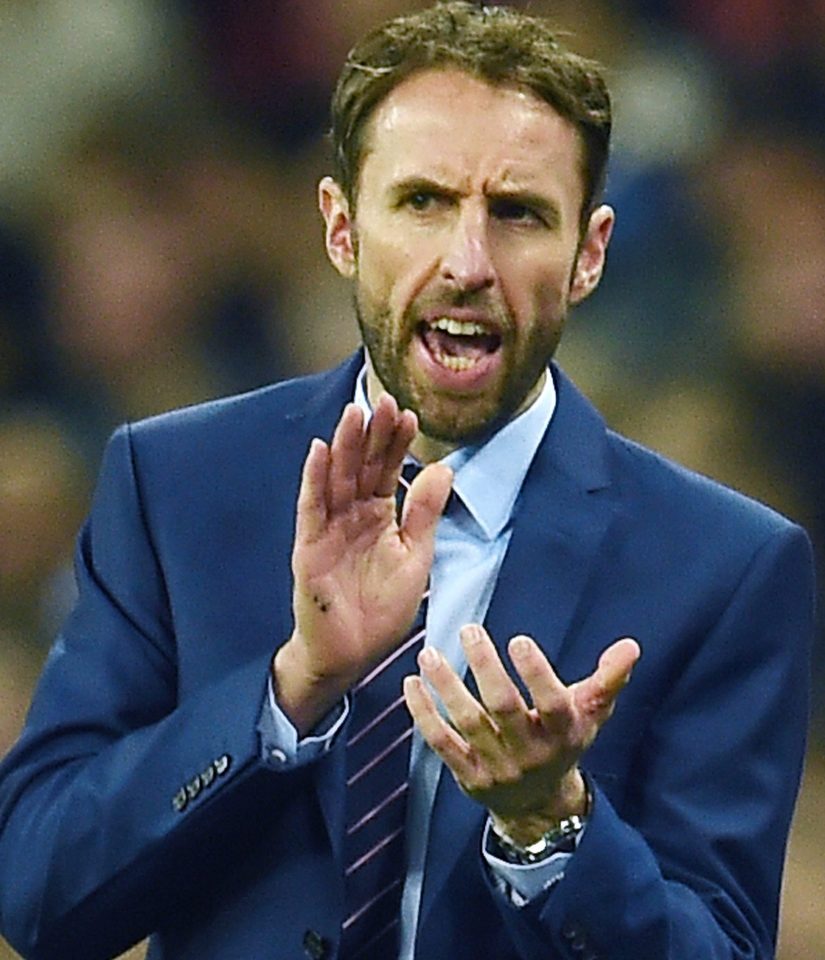 Gareth Southgate...can look forward to four-year deal