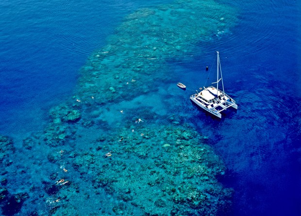 The French tourists were snorkelling at Michaelmas Cay, north of Cairns