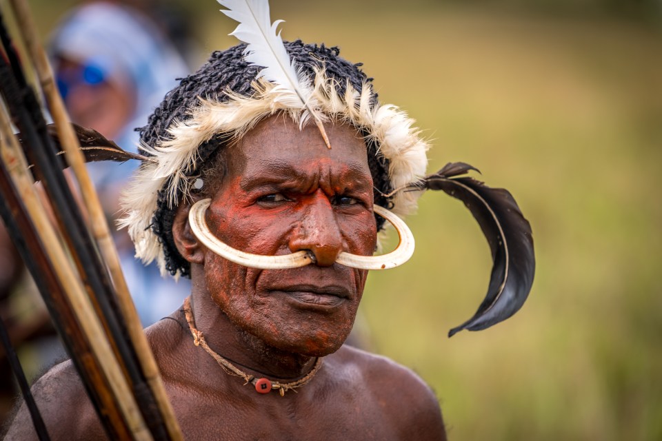 The Dani stage a fake battle with neighbouring tribes every year as part of a festival (Pictured: Dani warrior)