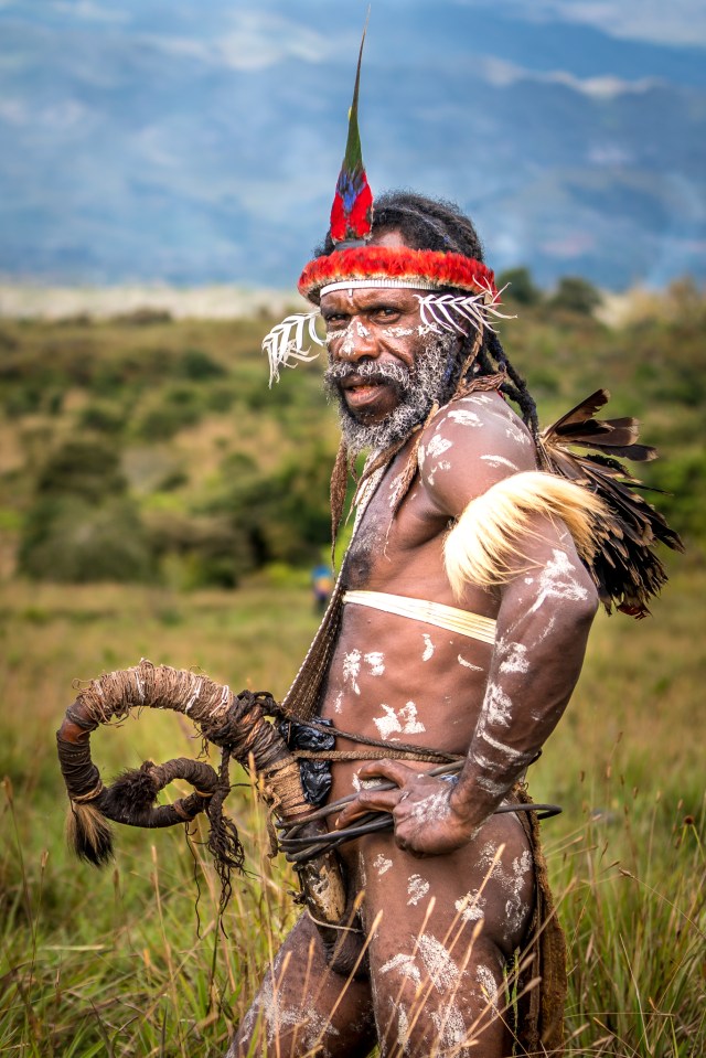 Dani men are known for their traditional penis sheaths (Pictured: A warrior covered in war paint)