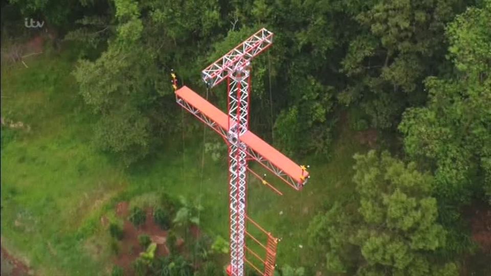 The Bushtucker trial is the highest one ever on I'm a Celebrity