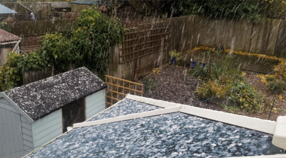  Further images of the dusting across Devon were shared as locals welcomed the arrival of winter