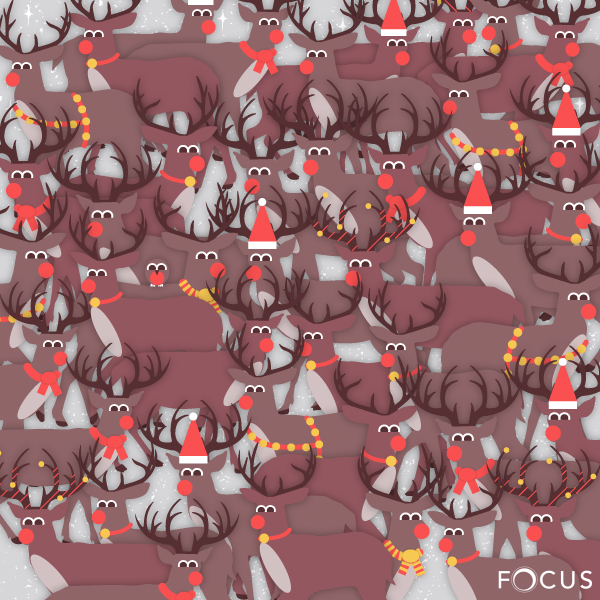 Can you see the little robin in among the reindeer?