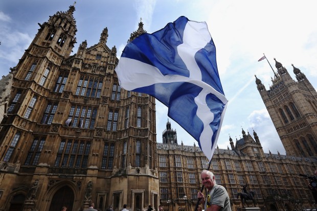 Sales of the famous Scottish fizzy drink increased 60% in the year after the nationalists upped their number of seats from six to 56