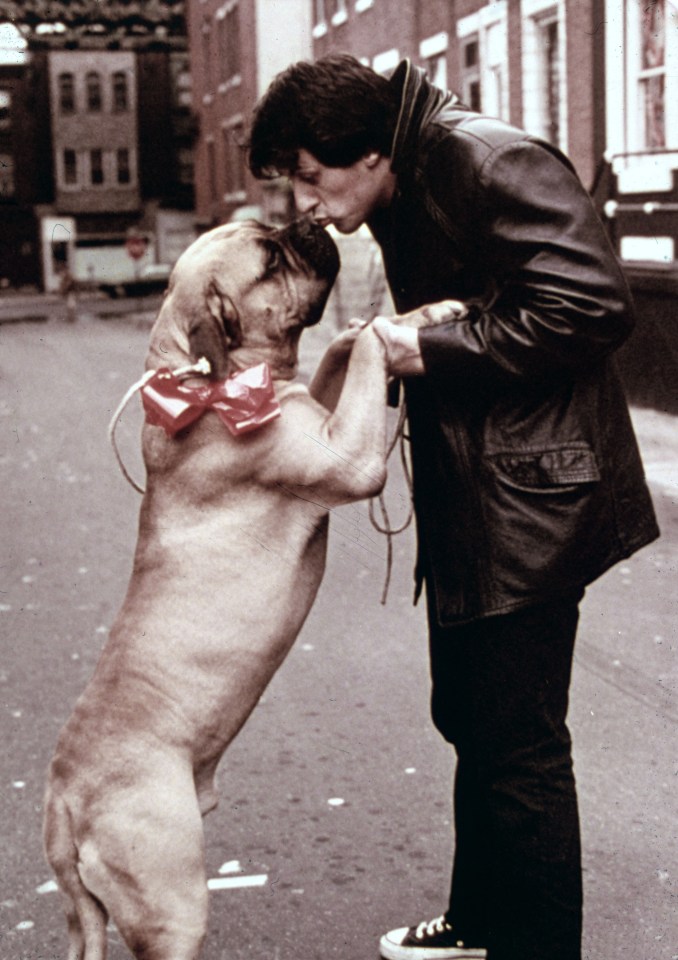 Sylvester Stallone As 'Rocky'