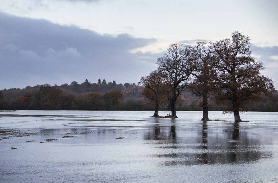 Farmland near Cobham, Surrey, is underwater after the River Mole burst its banks