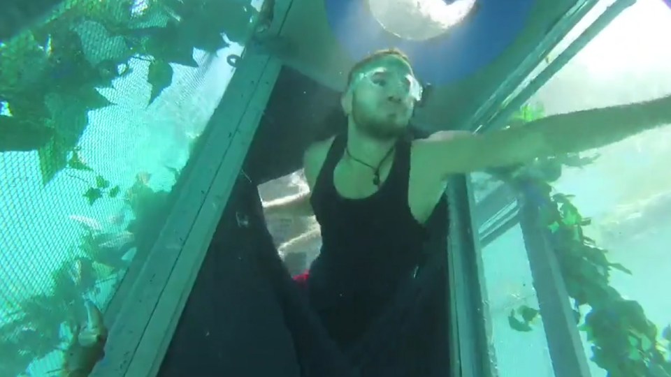 Adam had to swim underwater in a cage 