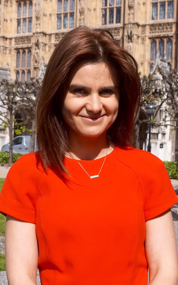  Jo Cox was brutally shot and stabbed by Thomas Mair outside her constituency surgery in June