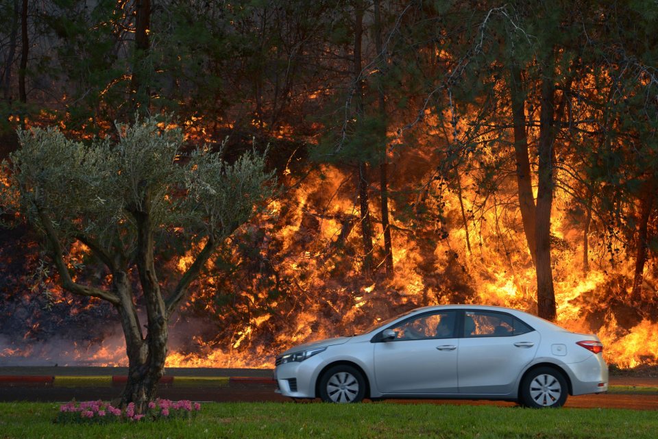  A car passes burning trees in the suburbs of Haifa during the worst fire to have hit the nation since 2010, when 42 people were killed in horrific blaze