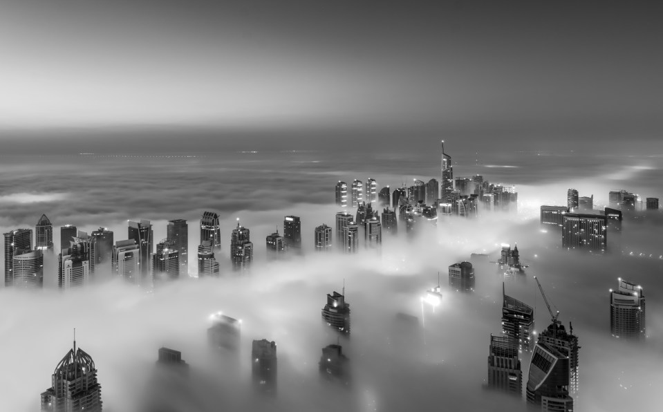 Shades of grey... The photographer uses black and white to create these stark images