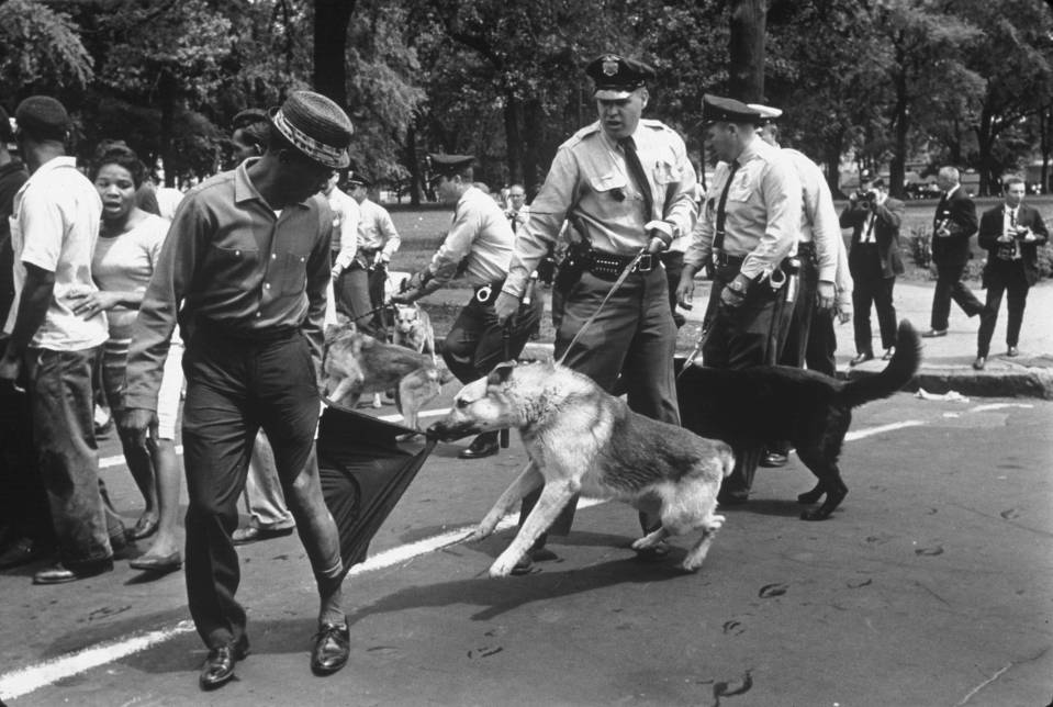 As officers attempted to disperse a civil rights protest, a protest dog launched itself at a black marcher