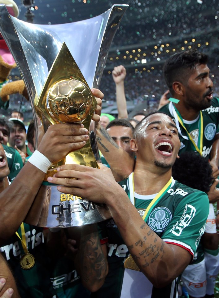 Football Soccer - Brazilian championship - Palmeiras v Chapecoense