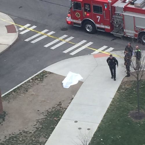  A white sheet was placed over the body by authorities