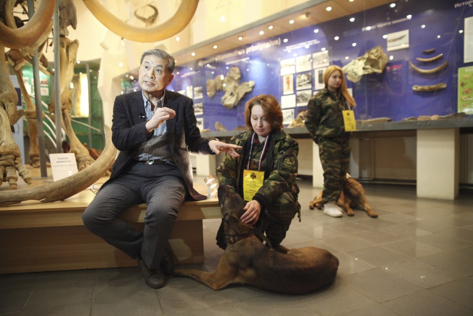 Dr Hwang Woo Suk has gifted the dogs - each valued at $100,000 - for use by police and the FSB secret service in the world's coldest inhabited region 