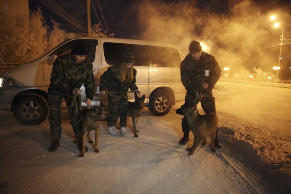 The Belgian Malinois reportedly have a hightened ability to sniff out drugs and explosives 