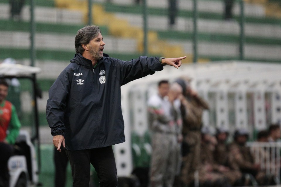  Last week, manager Caio Junior said he would 'die happy' if his team reached the Copa Sudamericana final