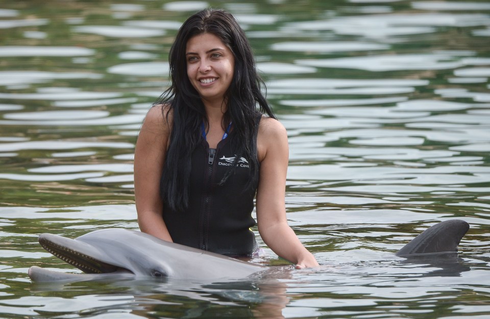 Cara was happy to settle with stroking the dolphin